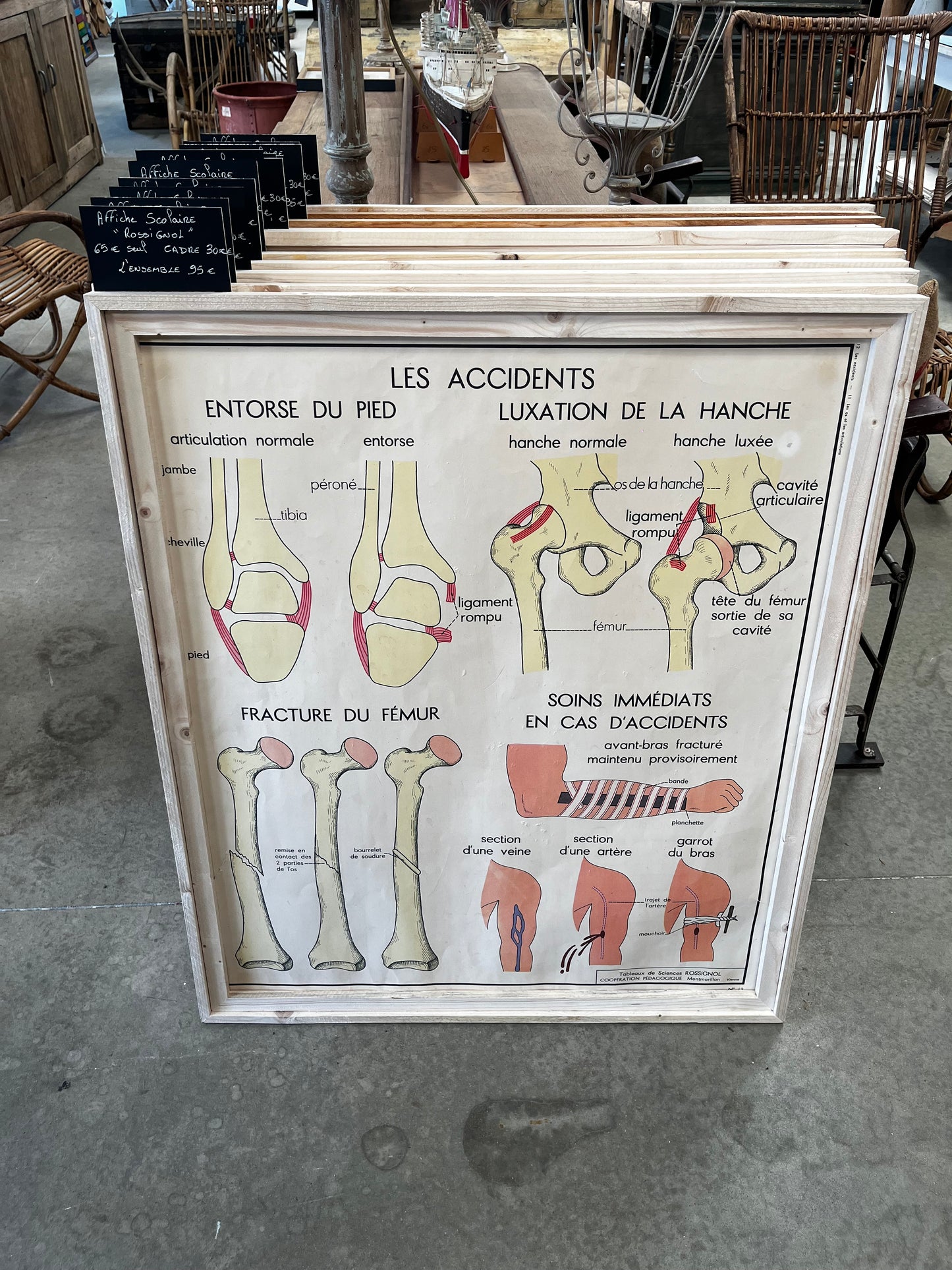 Affiche scolaire Rossignol