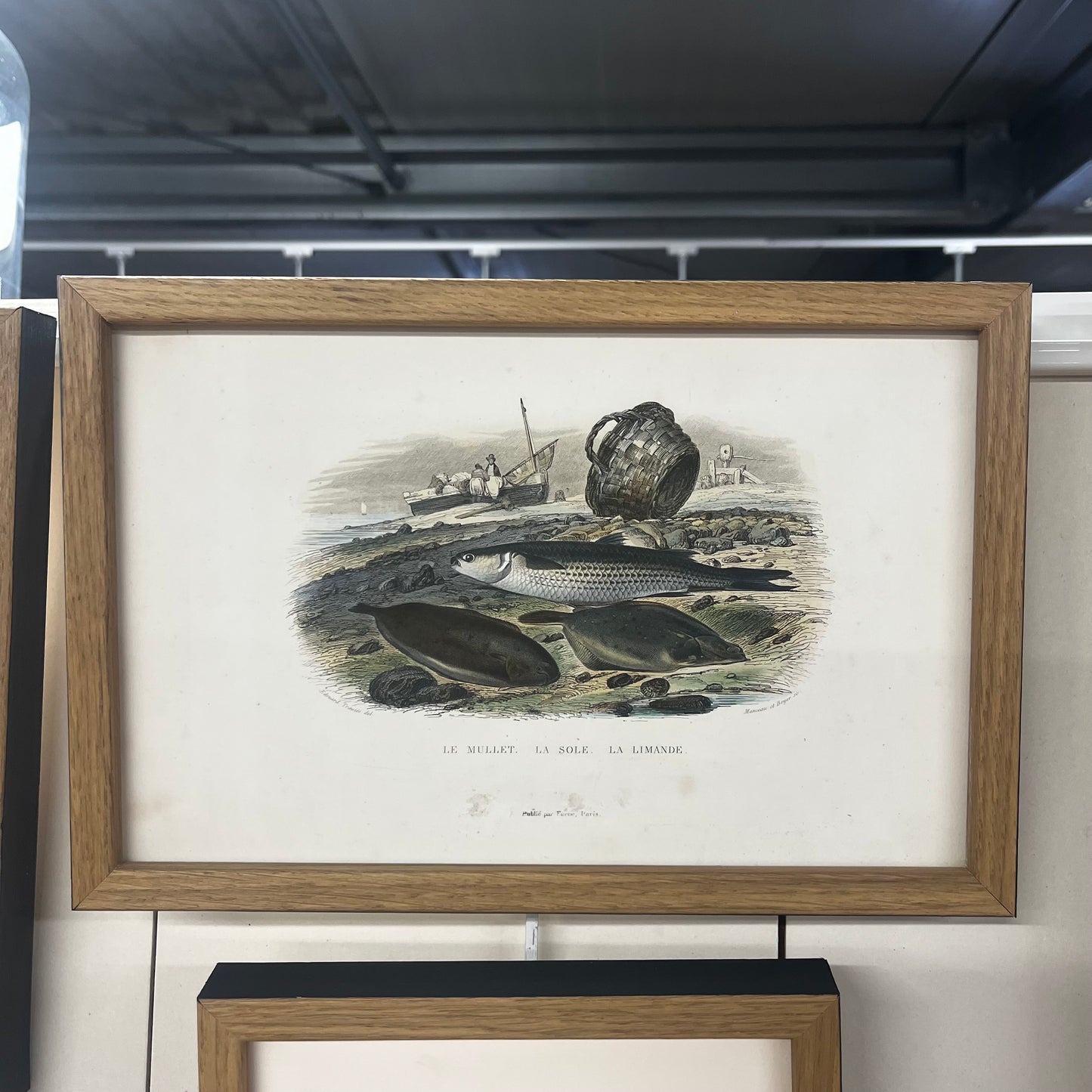 Cadre gravure "Buffon" 1837