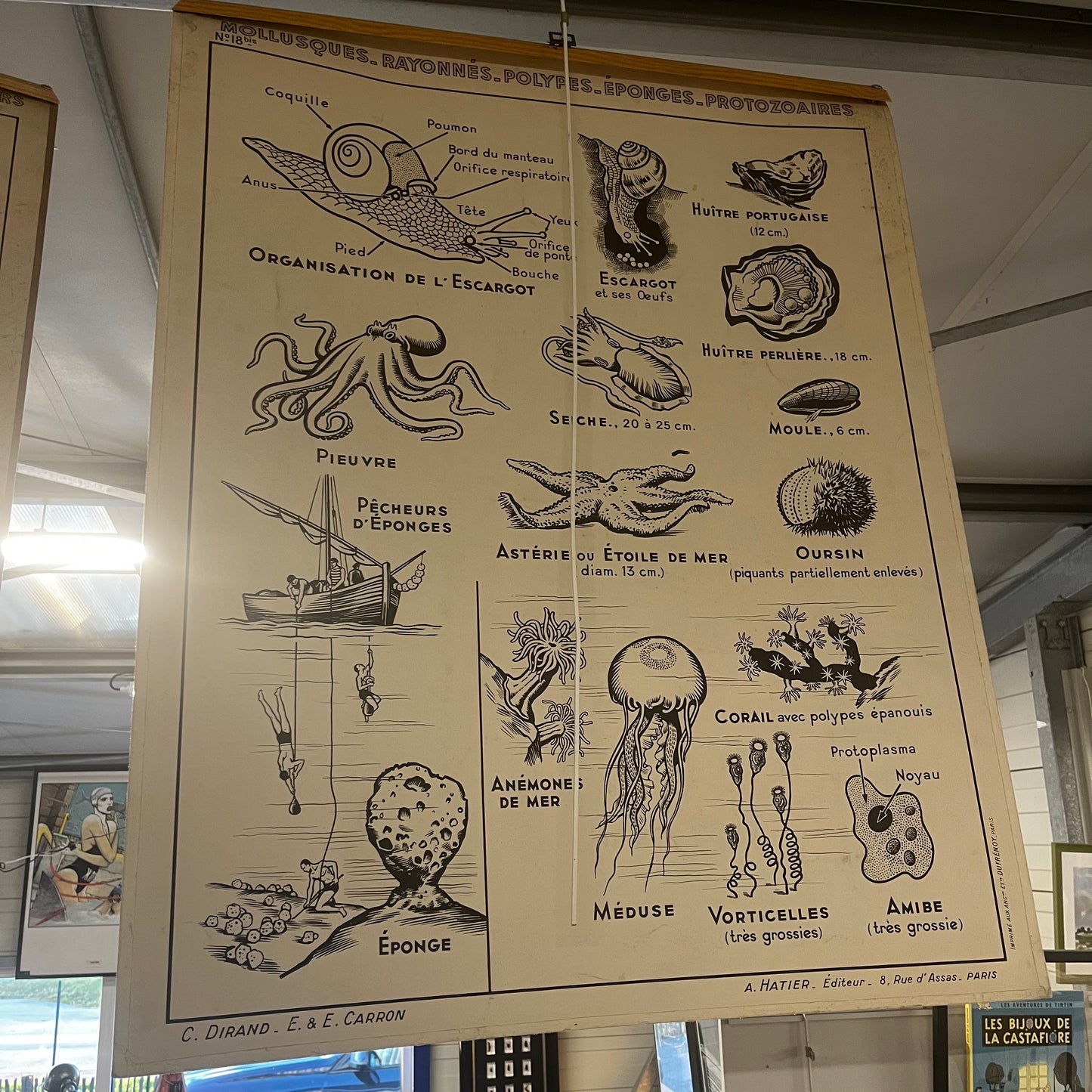 Affiche pédagogique Hatier