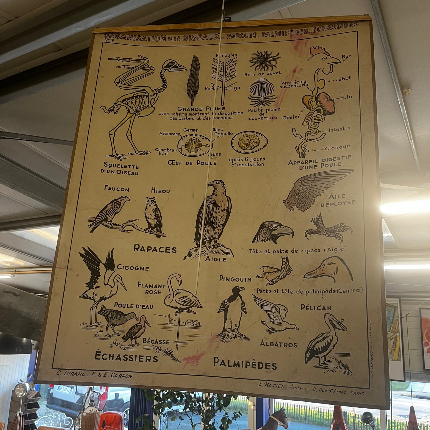 Affiche pédagogique Hatier