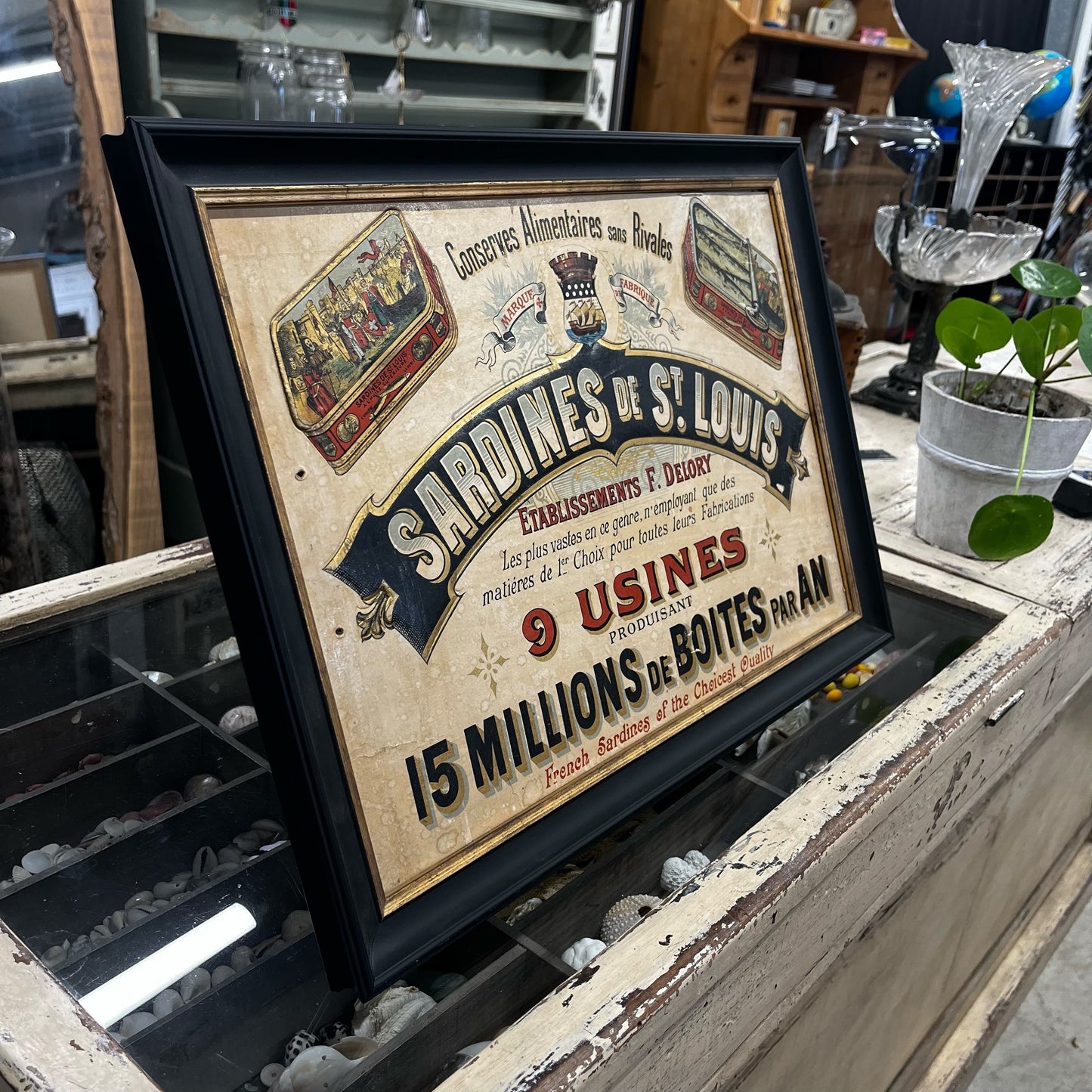Pub Vintage Sardines de St Louis
